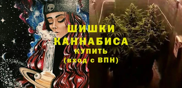 бошки Няндома